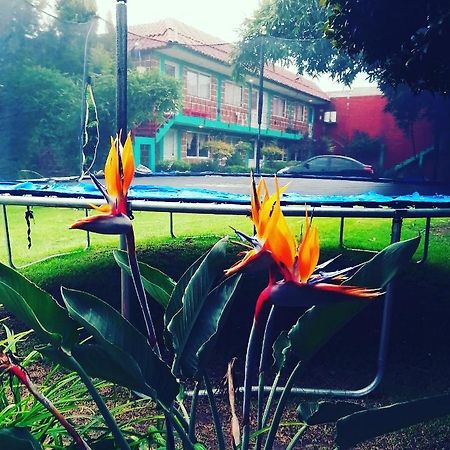 Hotel Las Fumarolas De Don Goyo 乔卢拉 外观 照片