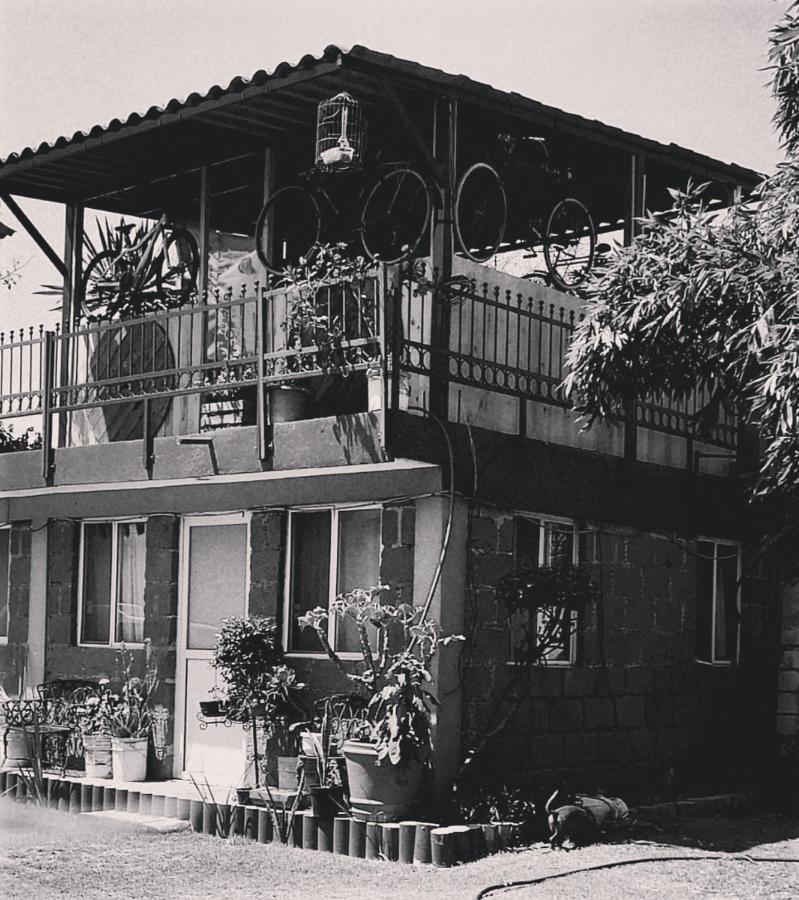 Hotel Las Fumarolas De Don Goyo 乔卢拉 外观 照片